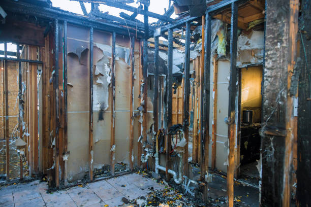 Professional Odor Removal technician working in Farmersburg, IN